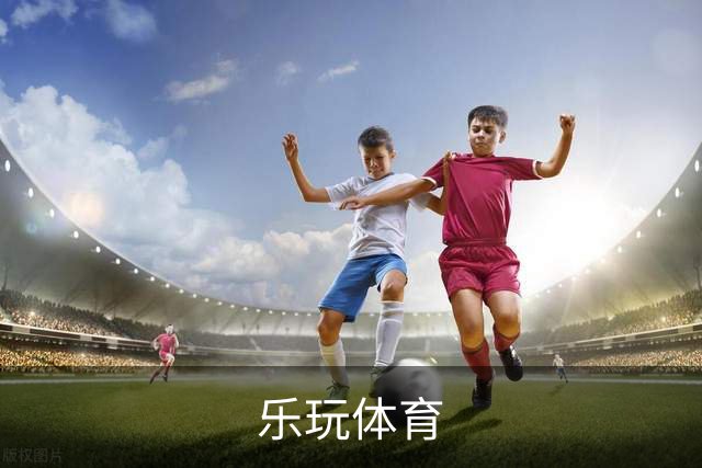 乐玩体育公司简介图片